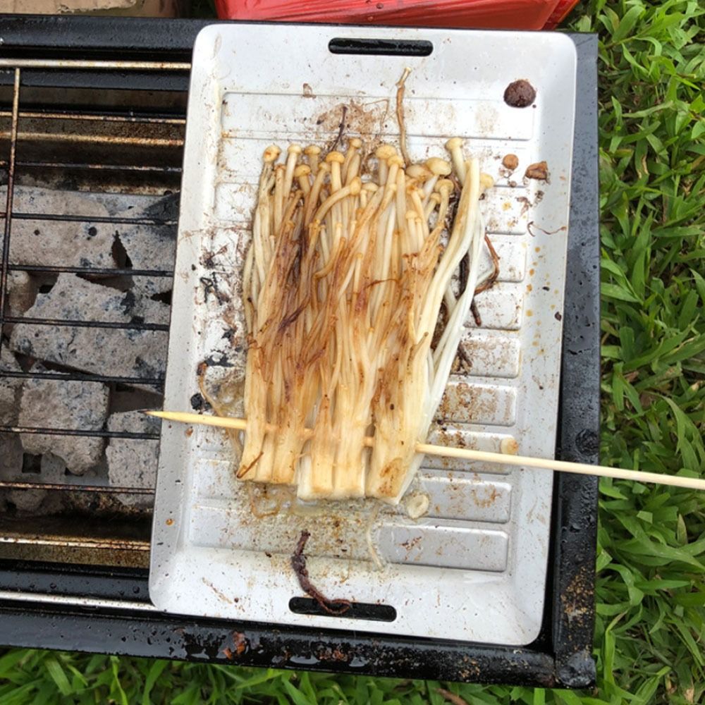 Durable Titanium Camping Grill - Camping Cooking Frying Pan ulasan dan harga